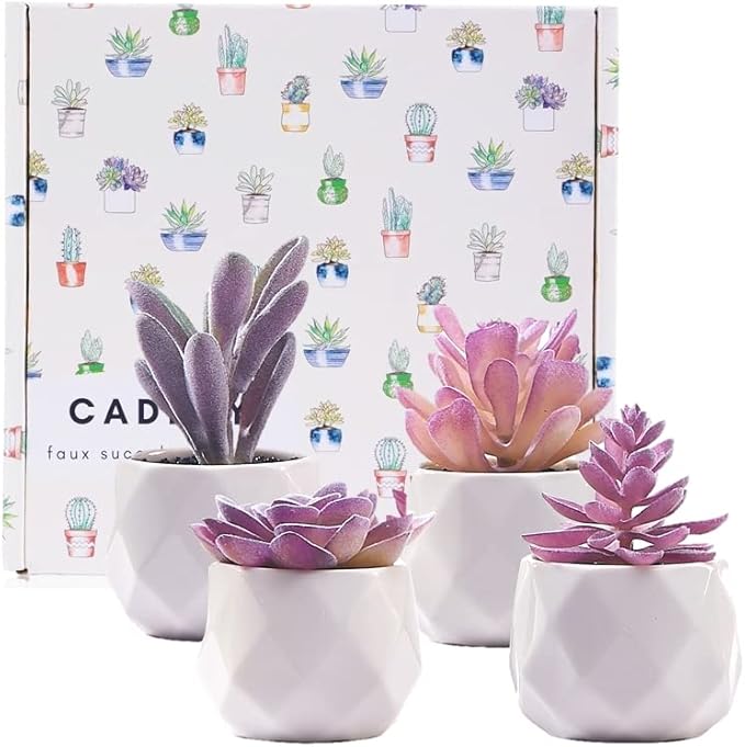 CADNLY Fake Succulent Plant Set - Artificial Succulent Plants for Women Desk - Realistic Faux Succulents in Ceramic Pots - Mini Purple Succulent Decor for Bedroom Bathroom Office Shelf Decor