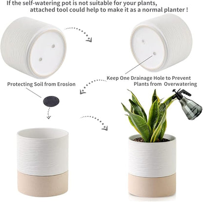 Nihow Self Watering Plant Pot: 6 Inch Ceramic Planter with Drainage Hole & Water Storage Plus for Indoor & Outdoor Plants - Cylinder Round Flower Pot for Succulent/Herbs/Violets - White & Brown