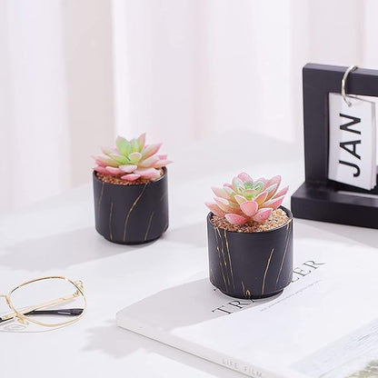 ZENMAG Mini Succulents Plants Artificial, Fake Succulents in Black Ceramic Pots for Desk Livingroom Bathroom and Home Decoration Office Decor for Women Set of 2 Artificial Succulents