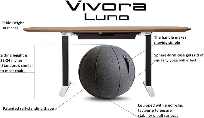 Vivora Luno Premium Ergonomic Sitting Ball Chair, Felt, Standard Size (22 to 24 inches), for Home Offices, Balance Training, Yoga Ball, Posture Improvement