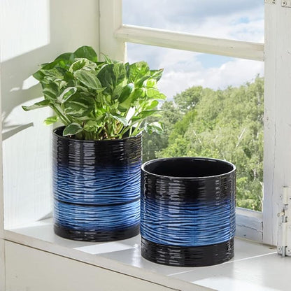 Nihow Self Watering Plant Pot: 6 Inch Ceramic Planter with Drainage Hole & Water Storage Plus for Indoor & Outdoor Plants - Cylinder Round Flower Pot for Succulent/Herbs/Violets - Black & Vivid Blue