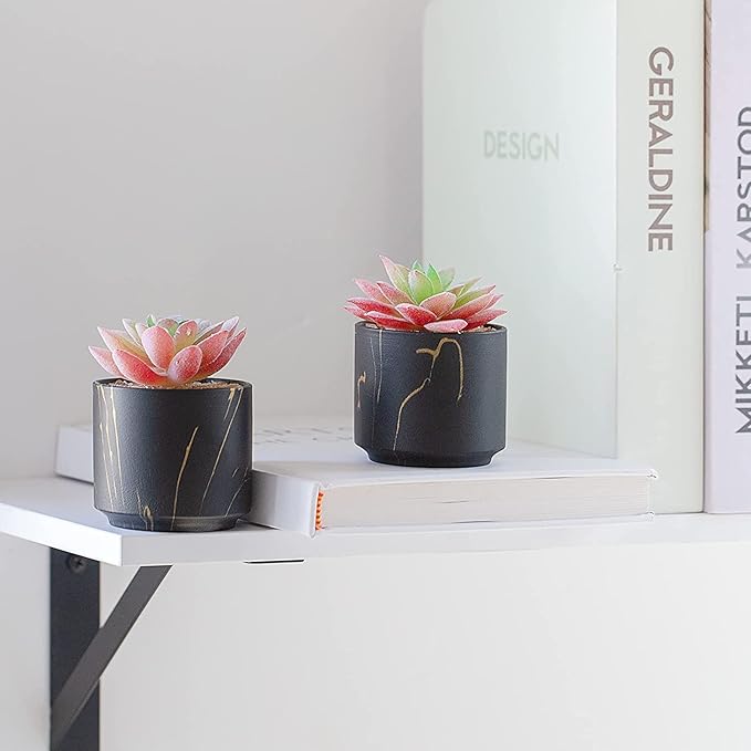 ZENMAG Mini Succulents Plants Artificial, Fake Succulents in Black Ceramic Pots for Desk Livingroom Bathroom and Home Decoration Office Decor for Women Set of 2 Artificial Succulents