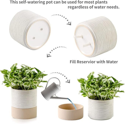 Nihow Self Watering Plant Pot: 6 Inch Ceramic Planter with Drainage Hole & Water Storage Plus for Indoor & Outdoor Plants - Cylinder Round Flower Pot for Succulent/Herbs/Violets - Cream White & Brown