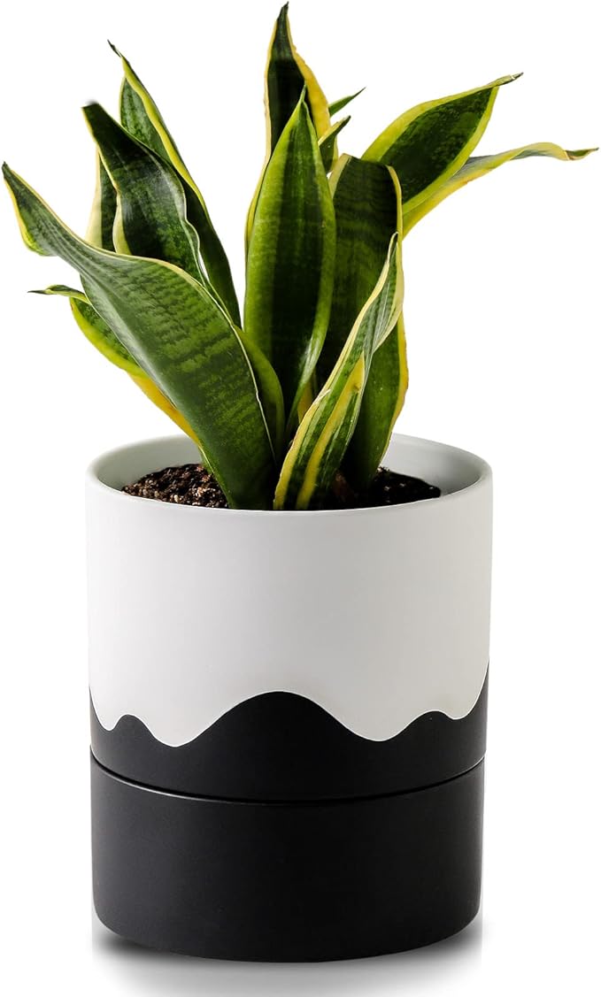 Nihow Self Watering Plant Pot: 6 Inch Ceramic Planter with Drainage Hole & Water Storage Plus for Indoor & Outdoor Plants - Cylinder Round Flower Pot for Succulent/Herbs/Violets - White & Wave Black