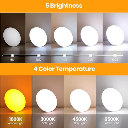 LASTAR Sun Lamp, 10,000 Lux Sunlight Lamp with 4 Color Temperatures & 5 Brightness & 1H Timer, Touch Control Daylight Lamp with Memory Function for Home