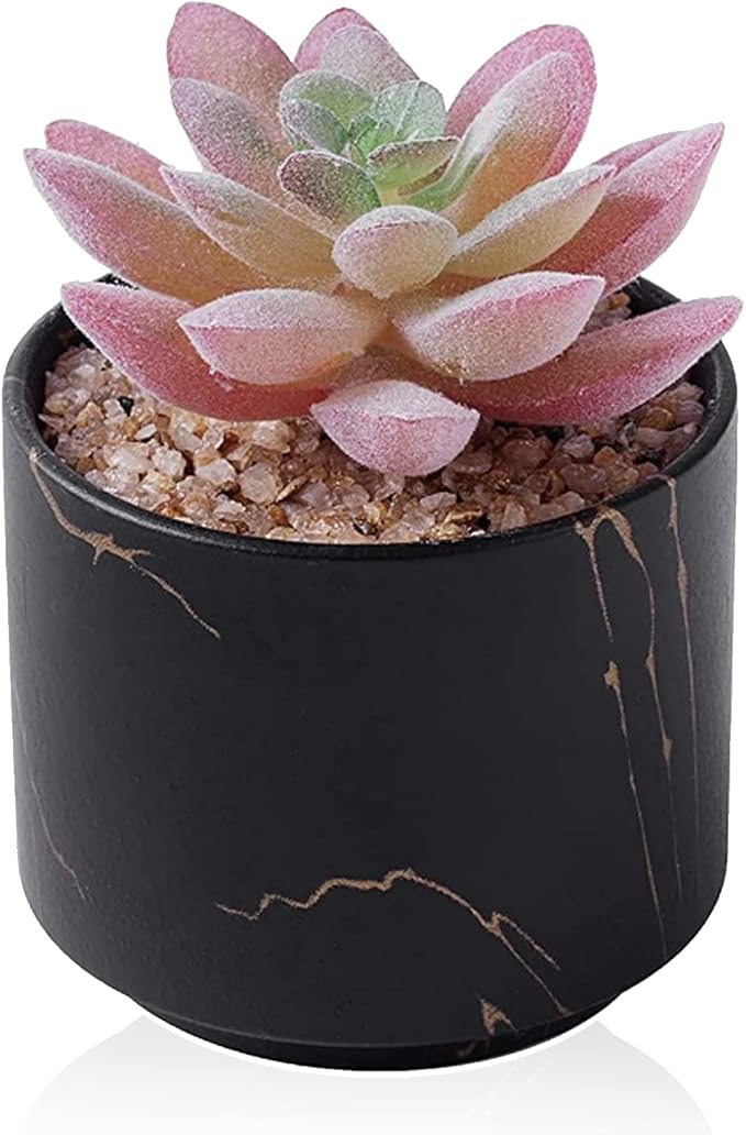 zenmag Mini Succulents Plants Artificial, Fake Succulents in Black Ceramic Pots Cute Desk Accessories 1Pcs Fake Plants for Livingroom,Bathroom,Bedroom Aesthetic Office Decor for Women,Table Decor