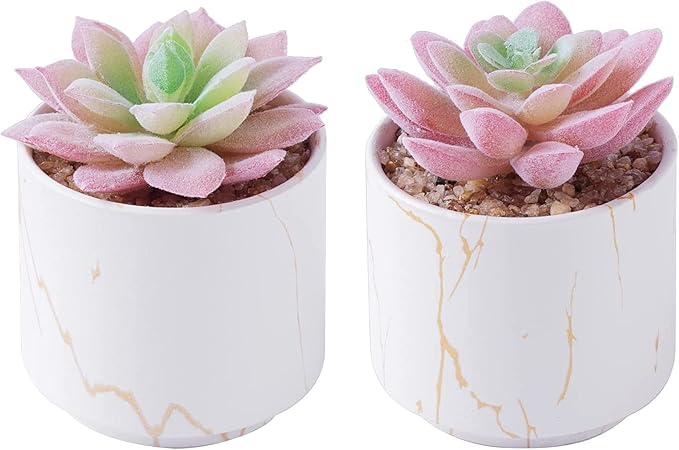 zenmag Succulents Plants Artificial, Mini Fake Succulents in White Ceramic Pots for Desk Livingroom Bathroom and Home Decoration Office Decor for Women Set of 2 Artificial Succulents