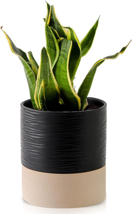 Nihow Self Watering Plant Pot: 6 Inch Ceramic Planter with Drainage Hole & Water Storage Plus for Indoor & Outdoor Plants - Cylinder Round Flower Pot for Succulent/Herbs/Violets - Black & Brown