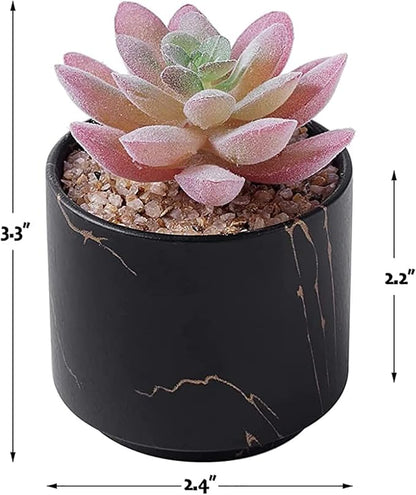 zenmag Mini Succulents Plants Artificial, Fake Succulents in Black Ceramic Pots Cute Desk Accessories 1Pcs Fake Plants for Livingroom,Bathroom,Bedroom Aesthetic Office Decor for Women,Table Decor