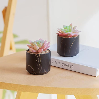 ZENMAG Mini Succulents Plants Artificial, Fake Succulents in Black Ceramic Pots for Desk Livingroom Bathroom and Home Decoration Office Decor for Women Set of 2 Artificial Succulents