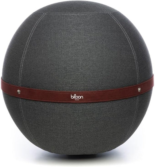 Bloon Paris Ergonomic Sitting Ball Chair - Premium Desk Chair for Home and Office with Active Seating - Durable & Stylish Balance Ball Chair - Grey Platinium - Regular Size