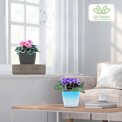 Self Watering Planters for Indoor Plants : 5 inch 3 Pack Gradient Blue Planter with Water Level Indicator African Violet Self Watering Flower Pot for Herb pots House Plant