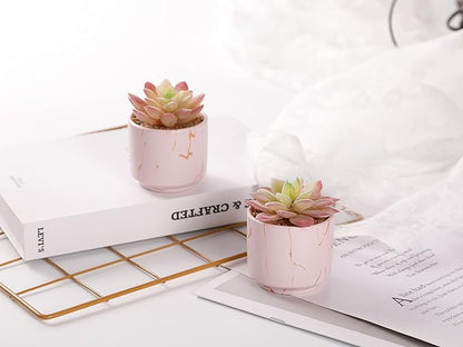 zenmag Fake Succulents, Mini Succulents Plants Artificial in Pink Ceramic Pots for Desk Livingroom Bathroom and Home Decoration Office Decor for Women Set of 2 Artificial Succulents