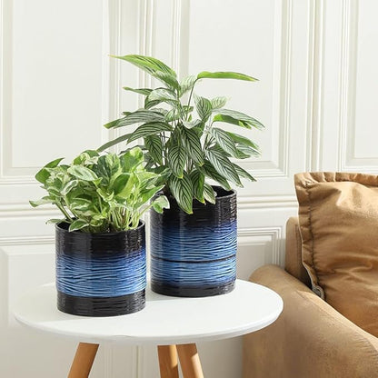 Nihow Self Watering Plant Pot: 6 Inch Ceramic Planter with Drainage Hole & Water Storage Plus for Indoor & Outdoor Plants - Cylinder Round Flower Pot for Succulent/Herbs/Violets - Black & Vivid Blue