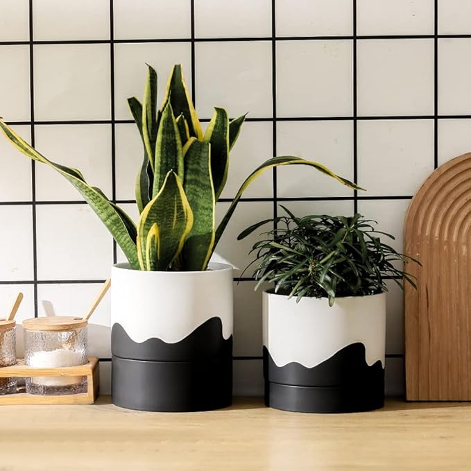 Nihow Self Watering Plant Pot: 6 Inch Ceramic Planter with Drainage Hole & Water Storage Plus for Indoor & Outdoor Plants - Cylinder Round Flower Pot for Succulent/Herbs/Violets - White & Wave Black