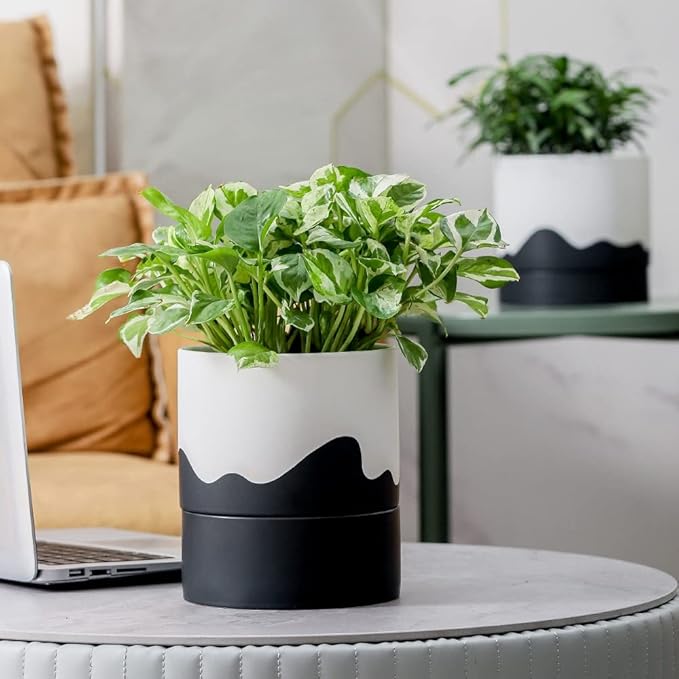 Nihow Self Watering Plant Pot: 6 Inch Ceramic Planter with Drainage Hole & Water Storage Plus for Indoor & Outdoor Plants - Cylinder Round Flower Pot for Succulent/Herbs/Violets - White & Wave Black