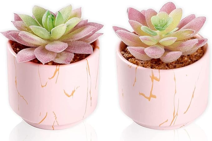 zenmag Fake Succulents, Mini Succulents Plants Artificial in Pink Ceramic Pots for Desk Livingroom Bathroom and Home Decoration Office Decor for Women Set of 2 Artificial Succulents