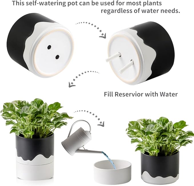 Nihow Self Watering Plant Pot: 6 Inch Ceramic Planter with Drainage Hole & Water Storage Plus for Indoor & Outdoor Plants - Cylinder Round Flower Pot for Succulent/Herbs/Violets - Black & Wave White