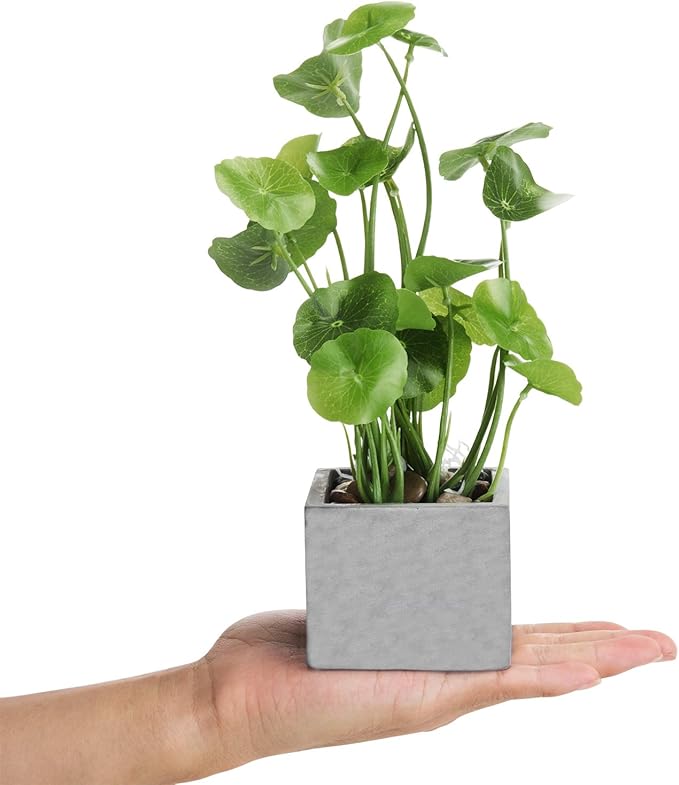 MyGift Artificial Assorted Plants Faux Tabletop Greenery in Gray Cement Square Pots, Set of 3