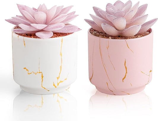 zenmag Artificial Succulent Plants, Fake Succulents Decor in 2 White/Pink Ceramic Pots, Small Plants for Office, Table, Desk, Bathroom, Bedroom, Living Room Shelves Decor, for Women