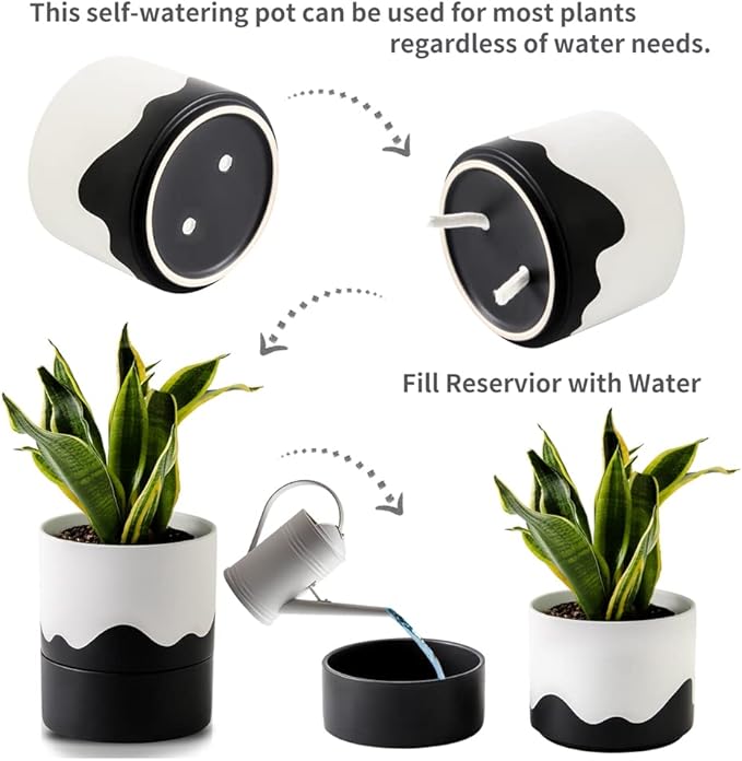 Nihow Self Watering Plant Pot: 6 Inch Ceramic Planter with Drainage Hole & Water Storage Plus for Indoor & Outdoor Plants - Cylinder Round Flower Pot for Succulent/Herbs/Violets - White & Wave Black