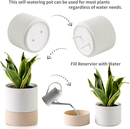 Nihow Self Watering Plant Pot: 6 Inch Ceramic Planter with Drainage Hole & Water Storage Plus for Indoor & Outdoor Plants - Cylinder Round Flower Pot for Succulent/Herbs/Violets - White & Brown