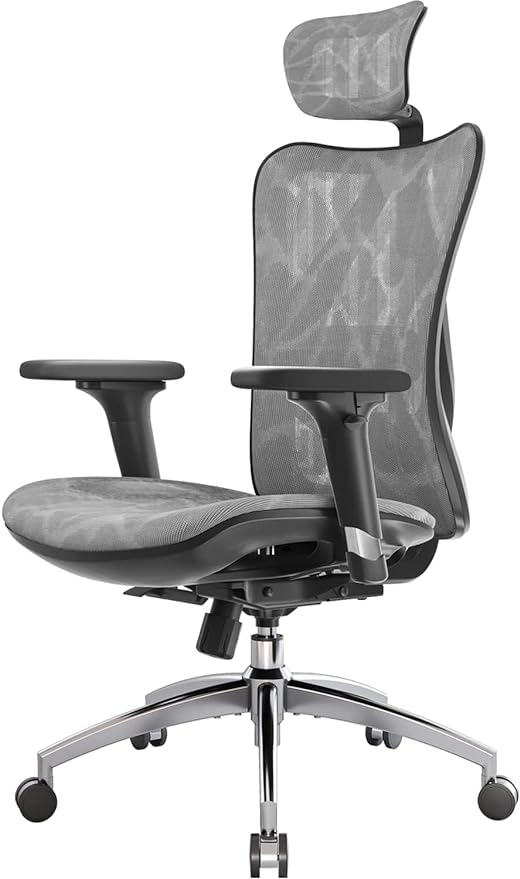 SIHOO M57 Ergonomic Office Chair with 3 Way Armrests Lumbar Support and Adjustable Headrest High Back Tilt Function Grey