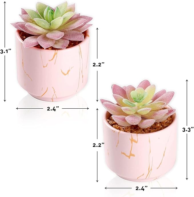 zenmag Fake Succulents, Mini Succulents Plants Artificial in Pink Ceramic Pots for Desk Livingroom Bathroom and Home Decoration Office Decor for Women Set of 2 Artificial Succulents