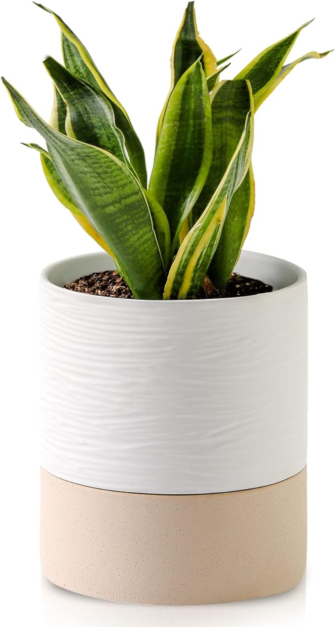 Nihow Self Watering Plant Pot: 6 Inch Ceramic Planter with Drainage Hole & Water Storage Plus for Indoor & Outdoor Plants - Cylinder Round Flower Pot for Succulent/Herbs/Violets - White & Brown