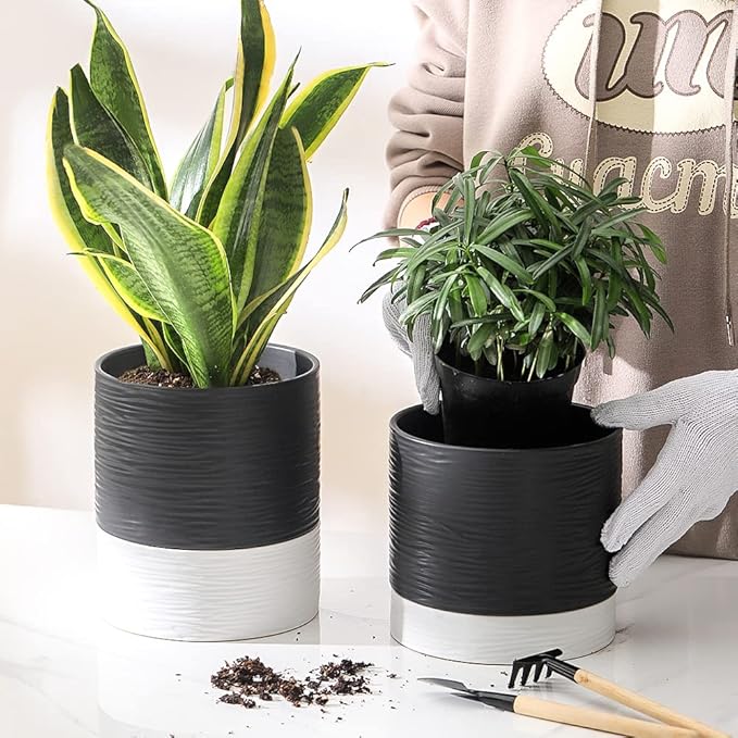 Nihow Self Watering Plant Pot: 6 Inch Ceramic Planter with Drainage Hole & Water Storage Plus for Indoor & Outdoor Plants - Cylinder Round Flower Pot for Succulent/Herbs/Violets - Black & White