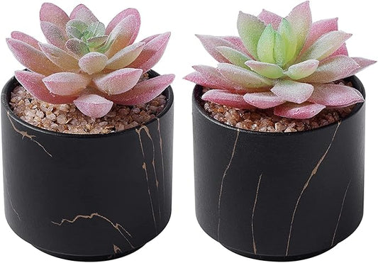 ZENMAG Mini Succulents Plants Artificial, Fake Succulents in Black Ceramic Pots for Desk Livingroom Bathroom and Home Decoration Office Decor for Women Set of 2 Artificial Succulents