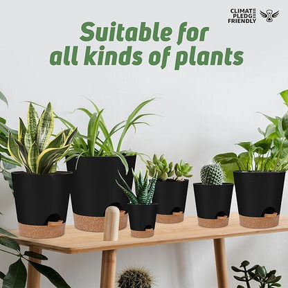 Indoor Self Watering Planters with Drainage Holes and Saucers, 8, 7, 6.5, 6, 5.5, 5 Inches, Black, 6 Pots