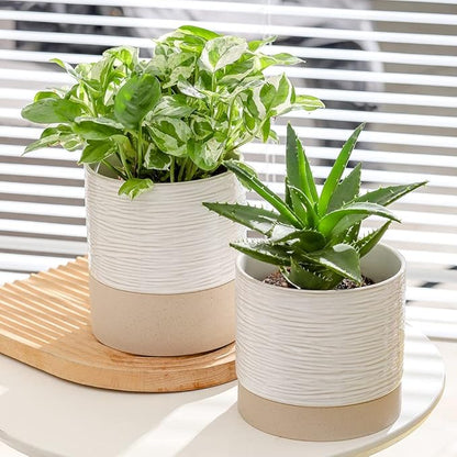 Nihow Self Watering Plant Pot: 6 Inch Ceramic Planter with Drainage Hole & Water Storage Plus for Indoor & Outdoor Plants - Cylinder Round Flower Pot for Succulent/Herbs/Violets - Cream White & Brown