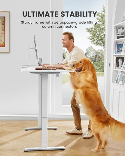 ErGear Height Adjustable Electric Standing Desk, 40 x 24 Inches Sit Stand up Desk, Memory Computer Home Office Desk (White)