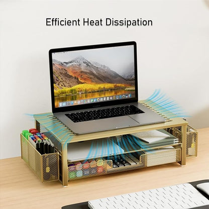 gianotter Monitor Stand with Drawer and Pen Holder, Desk Organizers and Accessories, 2-Tier Monitor Riser, Ideal for Office Supplies Desk Accessories(Gold)