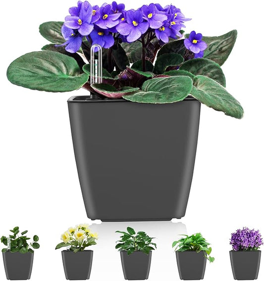 Self Watering Planters for Indoor Plants : 5 inch 6 Pack Grey Planter with Water Level Indicator African Violet Self Watering Flower Pot for Herb Pot House Plant Planting