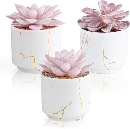 zenmag Artificial Succulent Plants, Fake Succulents Decor in 3 White Ceramic Pots, Small Plants for Office, Table, Desk, Bathroom, Bedroom, Living Room Shelves Decor, for Women