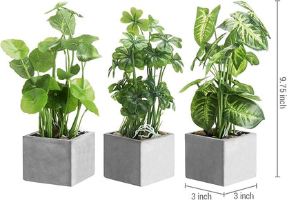 MyGift Artificial Assorted Plants Faux Tabletop Greenery in Gray Cement Square Pots, Set of 3