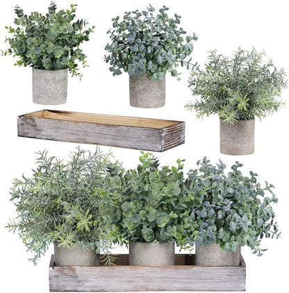 Set of 3 Mini Potted Artificial Eucalyptus Plants Faux Rosemary Plant Assortment with Wood Planter Box for Indoor Office Desk Apartment Wedding Tabletop Greenery Decorations 8.7" Tall