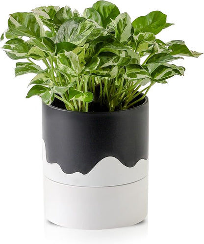 Nihow Self Watering Plant Pot: 6 Inch Ceramic Planter with Drainage Hole & Water Storage Plus for Indoor & Outdoor Plants - Cylinder Round Flower Pot for Succulent/Herbs/Violets - Black & Wave White