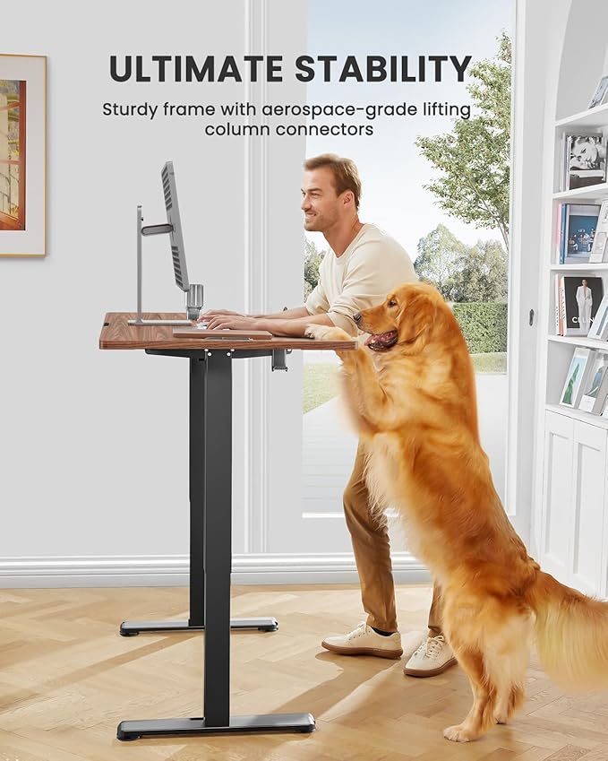 ErGear Height Adjustable Electric Standing Desk, 48 x 24 Inches Sit Stand up Desk, Memory Computer Home Office Desk with Splice Board (Espresso)