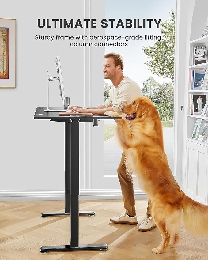 ErGear Height Adjustable Electric Standing Desk, 55 x 28 Inches Sit Stand up Desk, Large Memory Computer Home Office Desk with Two-Piece Desktop (Black)