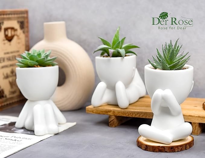 Der Rose 3pcs Fake Succulents Plants Artificial for Bathroom Bedroom Home Room Decor Aesthetic Indoor