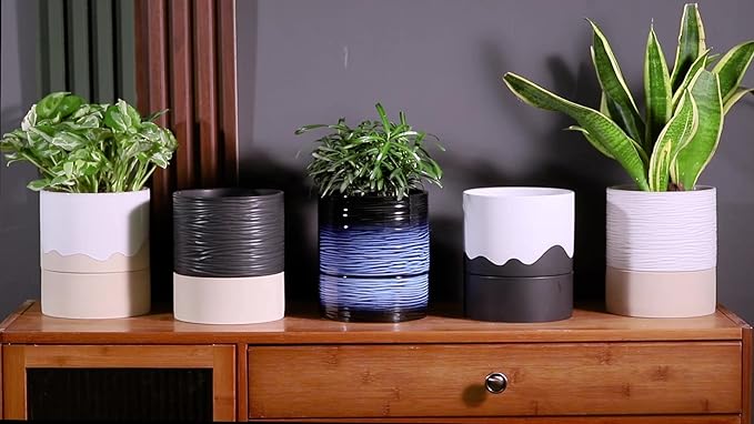 Nihow Self Watering Plant Pot: 6 Inch Ceramic Planter with Drainage Hole & Water Storage Plus for Indoor & Outdoor Plants - Cylinder Round Flower Pot for Succulent/Herbs/Violets - White & Brown