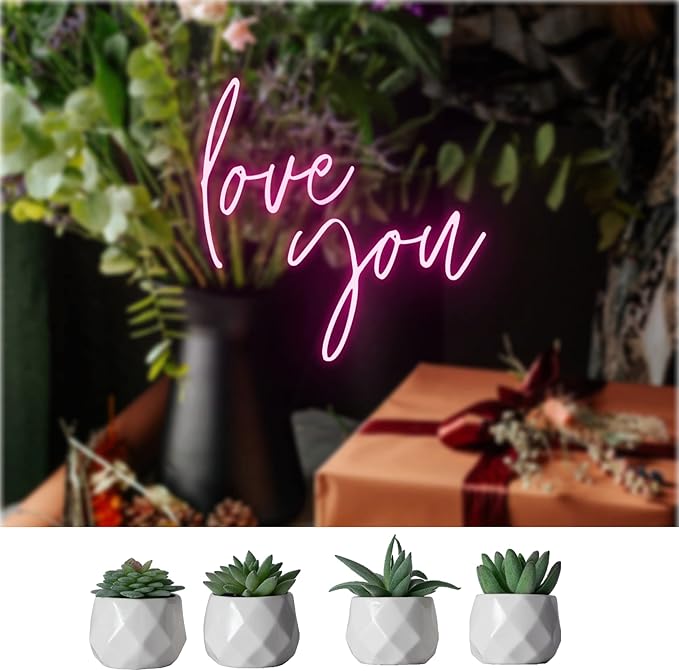 CADNLY Fake Succulent Plant Set - Artificial Succulent Plants for Women Desk - Realistic Faux Succulents in Ceramic Pots - Mini Green Succulent Decor for Bedroom Bathroom Office Shelf Decor