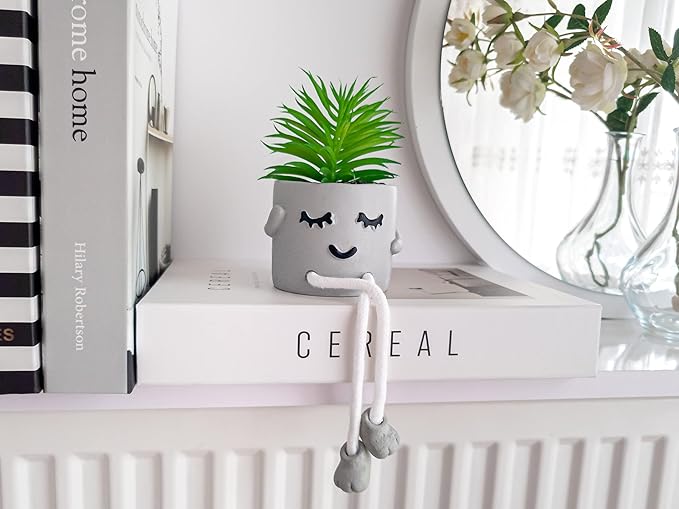 OLEEK Small Fake Plant Office Desk Decor - Desk Plants for Office Decorations for Work - Decorative Plants Decor - Funny Office Decor for Women - Fake Succulents Plants Artificial Home Decor Shelf