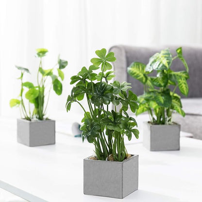 MyGift Artificial Assorted Plants Faux Tabletop Greenery in Gray Cement Square Pots, Set of 3