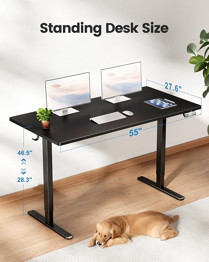 Electric Standing Desk 55" Adjustable Height Sit to Stand Desk Modern Height Adjustable Base with Memory Controller Student Black Desk