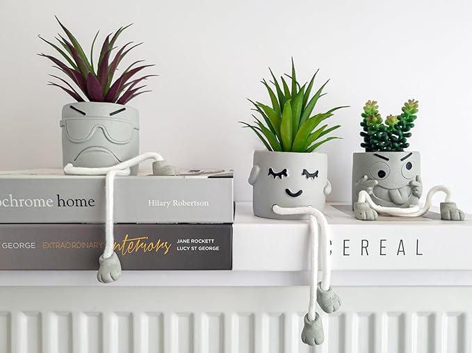 OLEEK Small Fake Plant Office Desk Decor - Desk Plants for Office Decorations for Work - Decorative Plants Decor - Funny Office Decor for Women - Fake Succulents Plants Artificial Home Decor Shelf