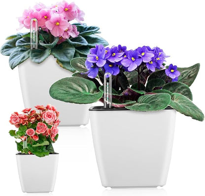 Self Watering Planters for Indoor Plants : 5 inch 3 Pack White African Violet Self Watering Flower and Herb pots